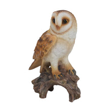 Load image into Gallery viewer, 87767-E - BARN OWL ON STUMP - SMALL
