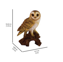 Load image into Gallery viewer, 87767-E - BARN OWL ON STUMP - SMALL
