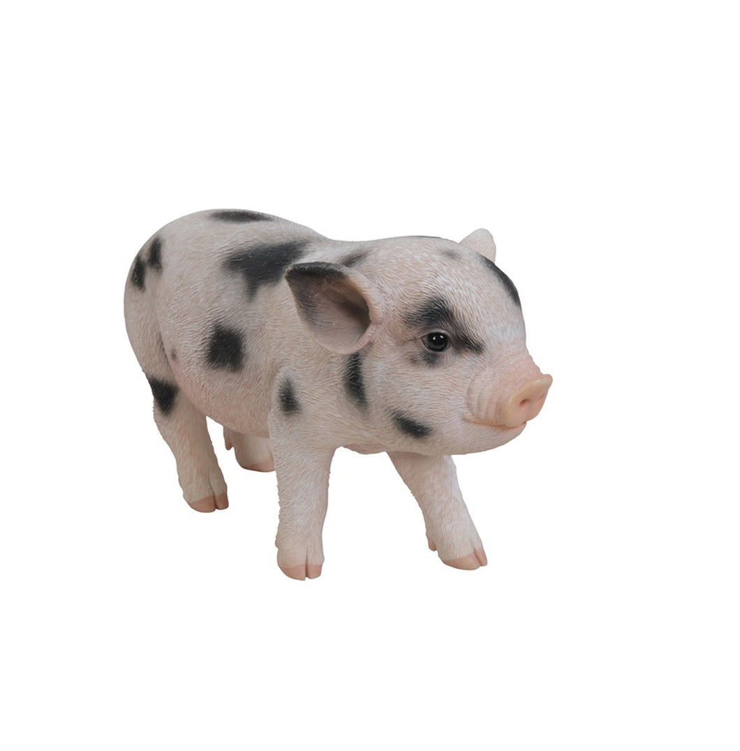 PIG - STANDING BABY PIG W/BLACK SPOTS