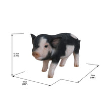 Load image into Gallery viewer, 87769-B - PIG - STANDING BABY PIG - DARK BROWN
