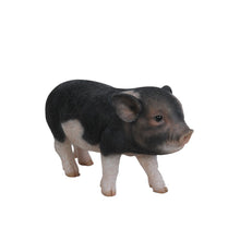 Load image into Gallery viewer, 87769-B - PIG - STANDING BABY PIG - DARK BROWN
