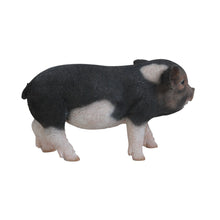 Load image into Gallery viewer, 87769-B - PIG - STANDING BABY PIG - DARK BROWN
