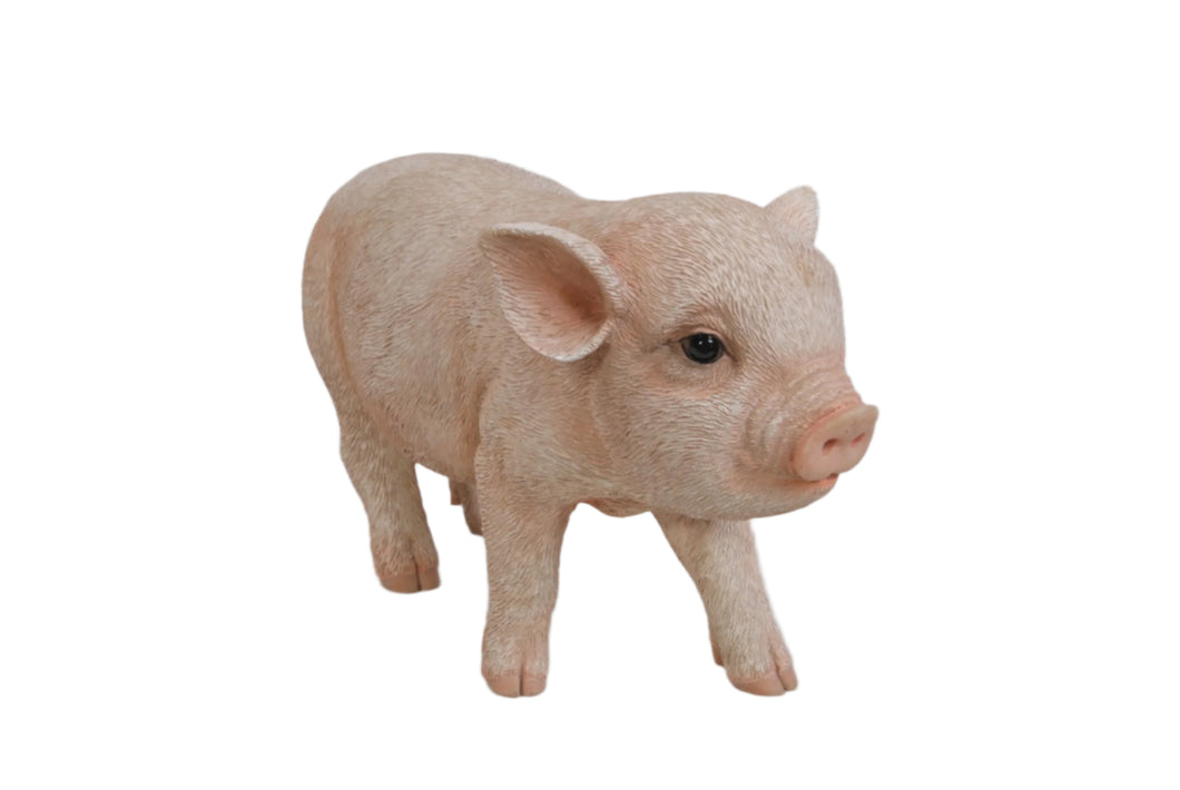PIG - STANDING BABY PIG