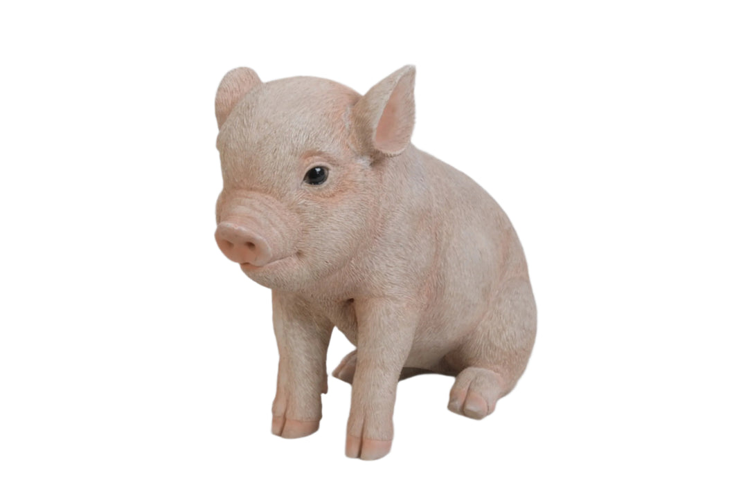 PIG - SITTING BABY PIG