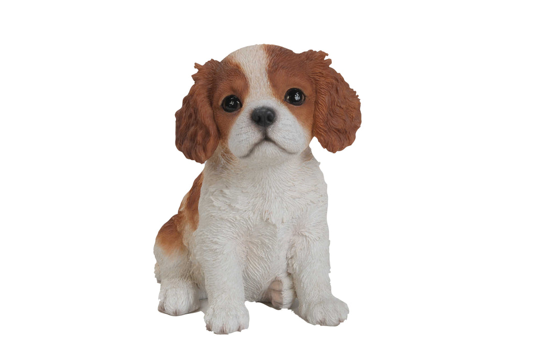 PET PALS - KING CHARLES PUPPY