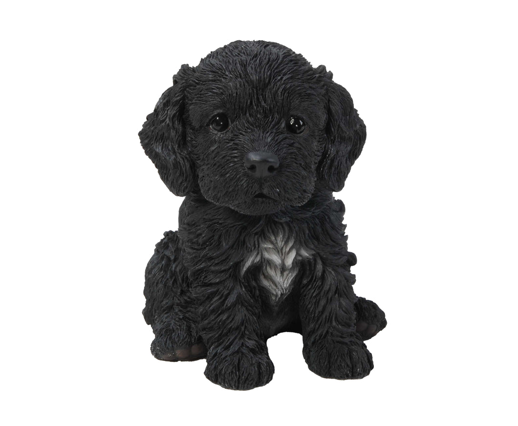 PET PALS - COCKAPOO PUPPY BLACK