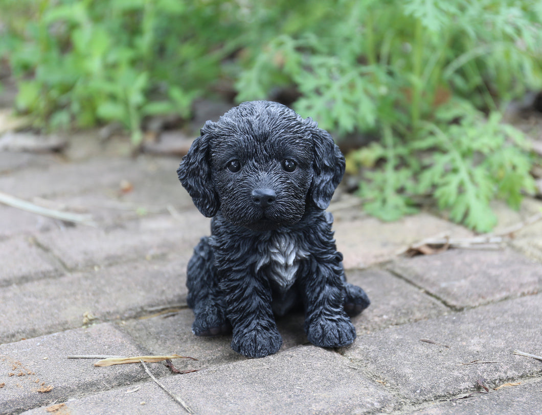 87771-02 - PET PALS - COCKAPOO PUPPY BLACK