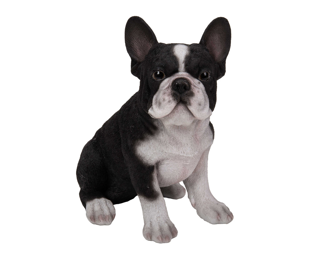 PET PALS - FRENCH BULLDOG PUPPY