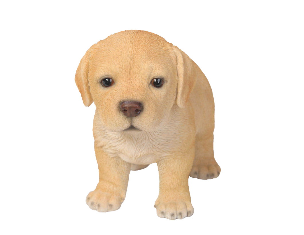 PET PALS - LABRADOR PUPPY STANDING - YELLOW