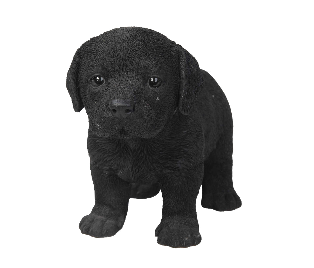 PET PALS - LABRADOR PUPPY STANDING - BLACK