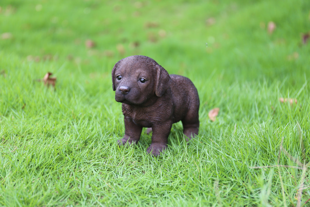 87771-06 - PET PALS - LABRADOR PUPPY STANDING - CHOCOLATE