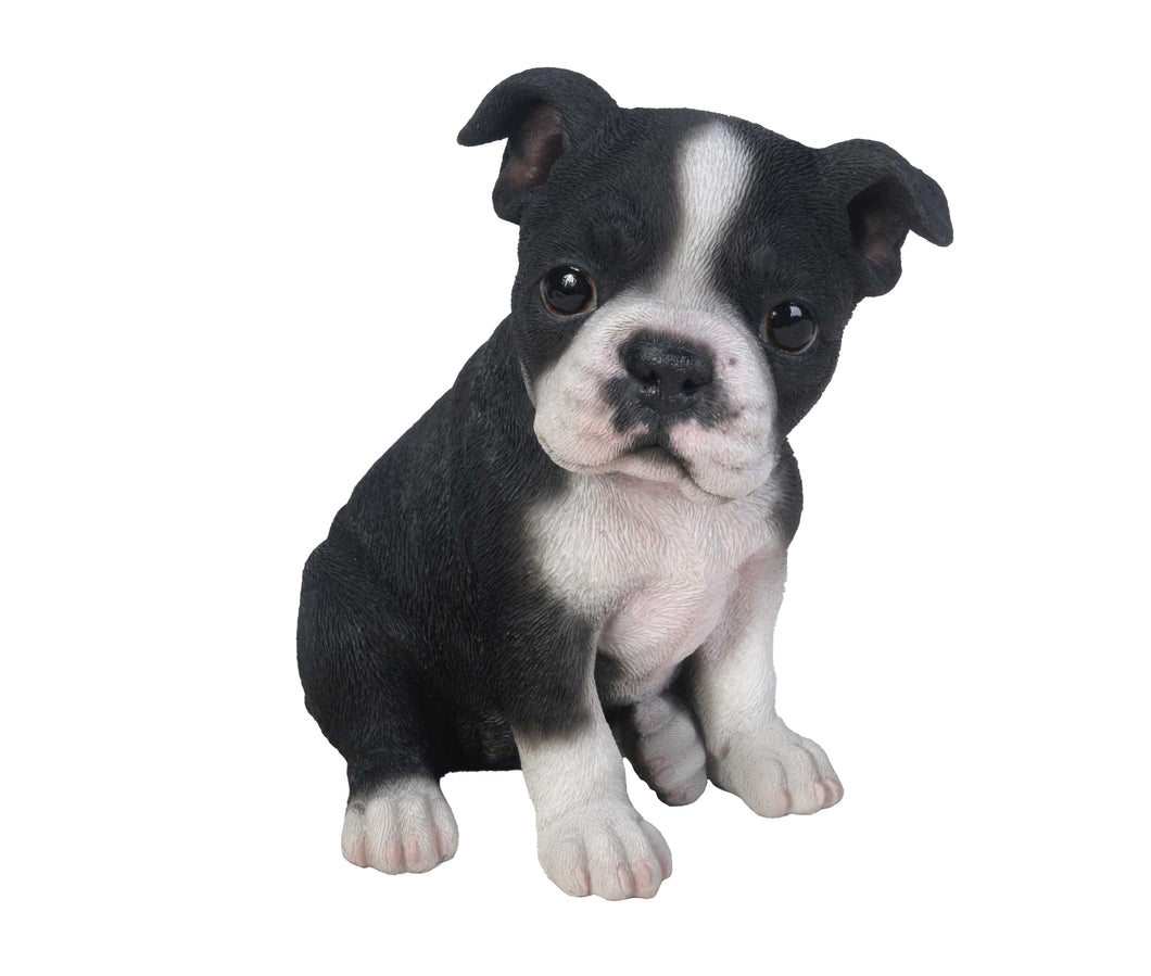 PET PALS - BOSTON TERRIER PUPPY