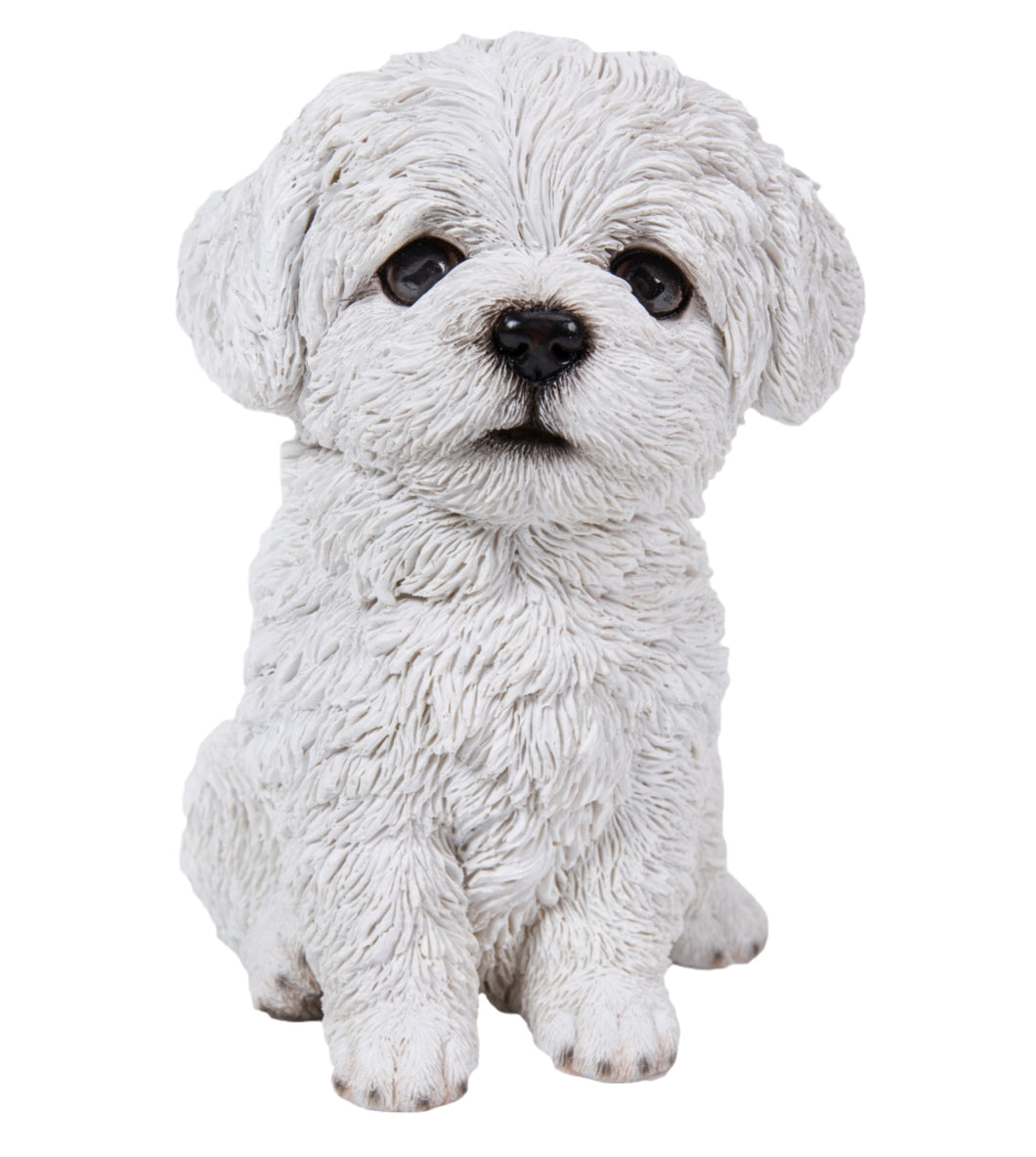 PET PALS - MALTESE PUPPY