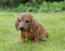 Load image into Gallery viewer, 87771-13 - PET PALS - DACHSHUND SITTING - BROWN
