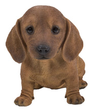 Load image into Gallery viewer, 87771-13 - PET PALS - DACHSHUND SITTING - BROWN
