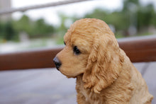 Load image into Gallery viewer, 87771-14 - PET PALS - COCKER SPANIEL - CREAM
