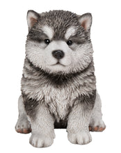 Load image into Gallery viewer, 87771-16 - PET PALS - MALAMUTE PUPPY
