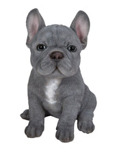 Load image into Gallery viewer, 87771-17 - PET PALS - BLUE FRENCH BULLDOG PUPPY
