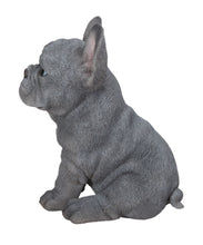 Load image into Gallery viewer, 87771-17 - PET PALS - BLUE FRENCH BULLDOG PUPPY
