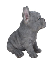 Load image into Gallery viewer, 87771-17 - PET PALS - BLUE FRENCH BULLDOG PUPPY
