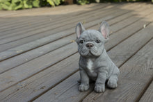 Load image into Gallery viewer, 87771-17 - PET PALS - BLUE FRENCH BULLDOG PUPPY
