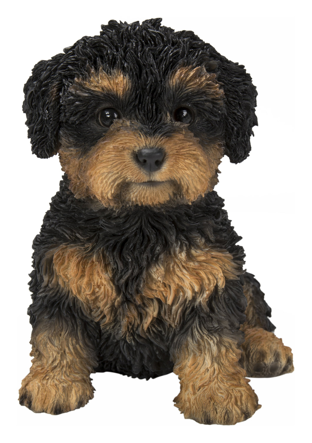 87771-18 - BABY CAVAPOO BLACK & TAN