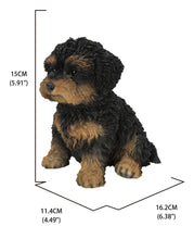 Load image into Gallery viewer, 87771-18 - BABY CAVAPOO BLACK &amp; TAN
