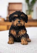 Load image into Gallery viewer, 87771-18 - BABY CAVAPOO BLACK &amp; TAN
