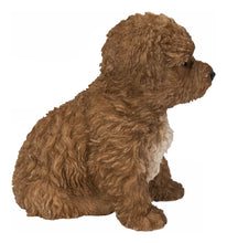 Load image into Gallery viewer, 87771-19 - BABY CAVAPOO CHOCOLATE
