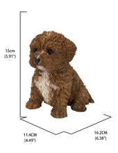 Load image into Gallery viewer, 87771-19 - BABY CAVAPOO CHOCOLATE
