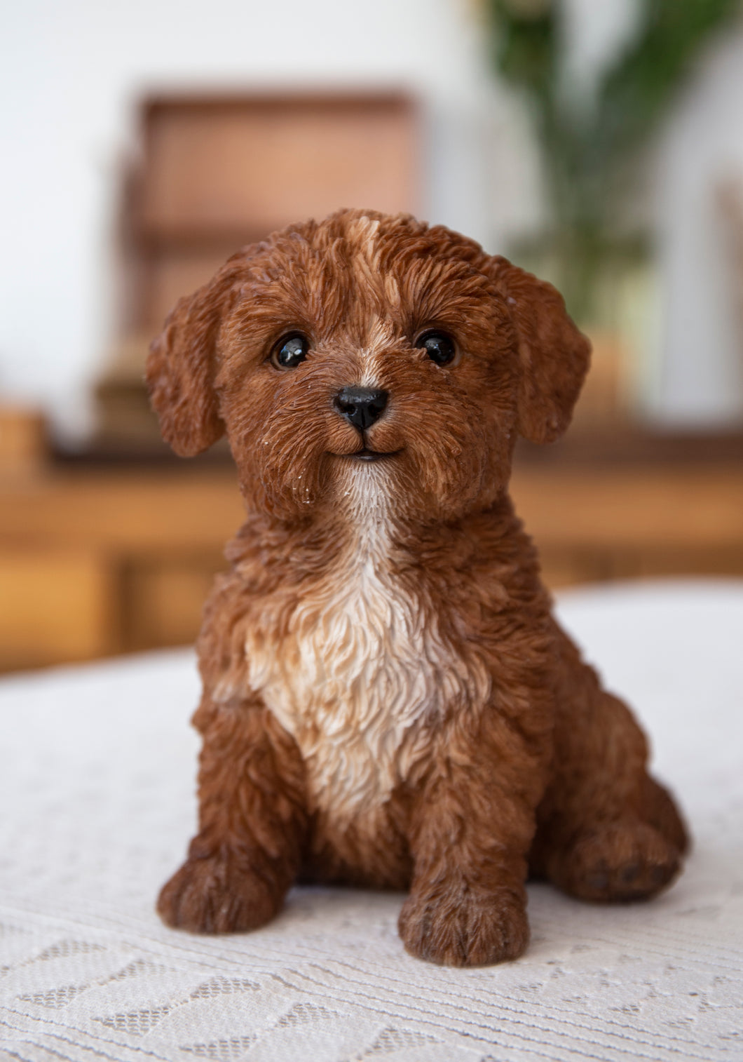 87771-19 - BABY CAVAPOO CHOCOLATE