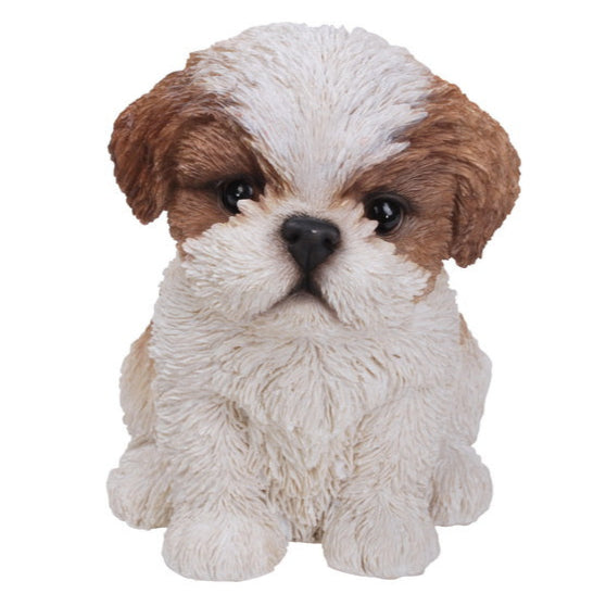 PET PALS - SHIH TZU PUPPY - BROWN/WHITE