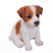 Load image into Gallery viewer, Jack Russell Terrier Puppy
