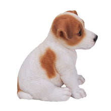 Load image into Gallery viewer, Jack Russell Terrier Puppy
