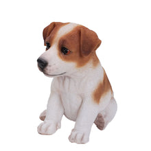Load image into Gallery viewer, Jack Russell Terrier Puppy

