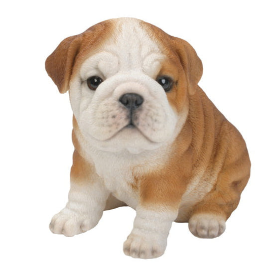 PET PALS - BULLDOG PUPPY