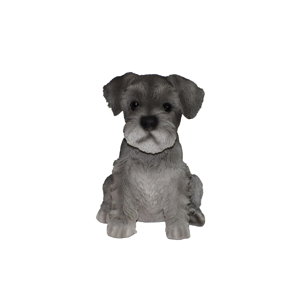 PET PALS - SCHNAUZER PUPPY