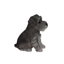 Load image into Gallery viewer, 87771-E - PET PALS - SCHNAUZER PUPPY
