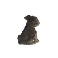 Load image into Gallery viewer, PET PALS - SCHNAUZER PUPPY
