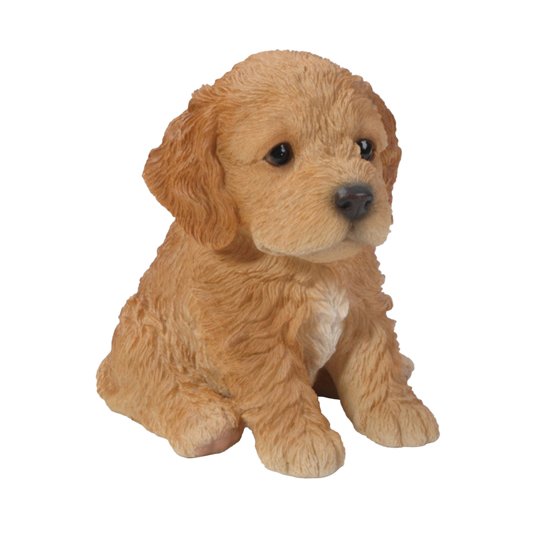 PET PALS - COCKAPOO PUPPY BROWN