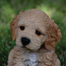 Load image into Gallery viewer, 87771-F - PET PALS - COCKAPOO PUPPY BROWN
