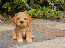 Load image into Gallery viewer, 87771-F - PET PALS - COCKAPOO PUPPY BROWN
