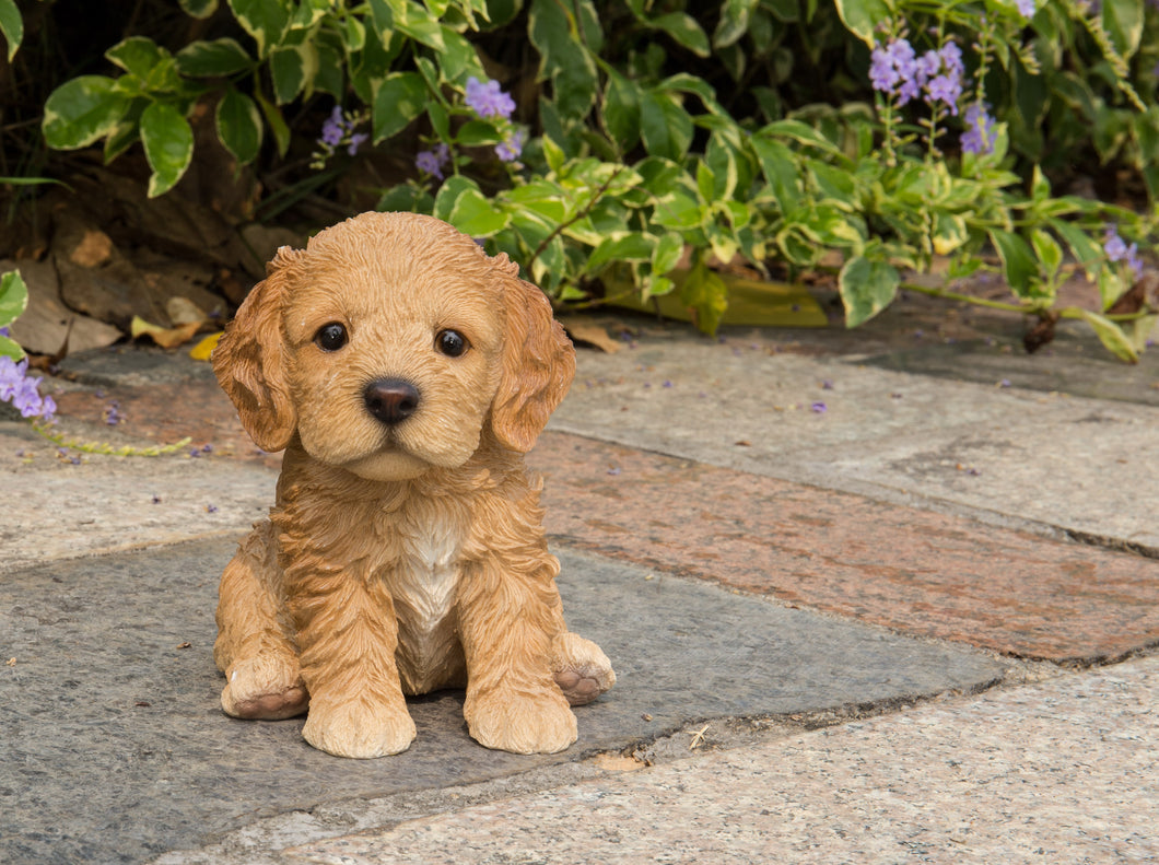 87771-F - PET PALS - COCKAPOO PUPPY BROWN