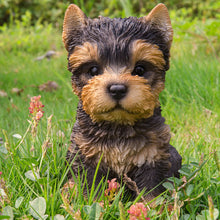 Load image into Gallery viewer, Yorkshire Terrier Puppy
