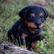 Load image into Gallery viewer, Rottweiler Puppy
