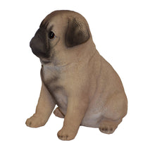 Load image into Gallery viewer, 87771-J - PET PALS - PUG PUPPY
