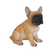 Load image into Gallery viewer, 87771-M - PET PALS - FRENCH BULLDOG PUPPY
