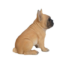 Load image into Gallery viewer, 87771-M - PET PALS - FRENCH BULLDOG PUPPY
