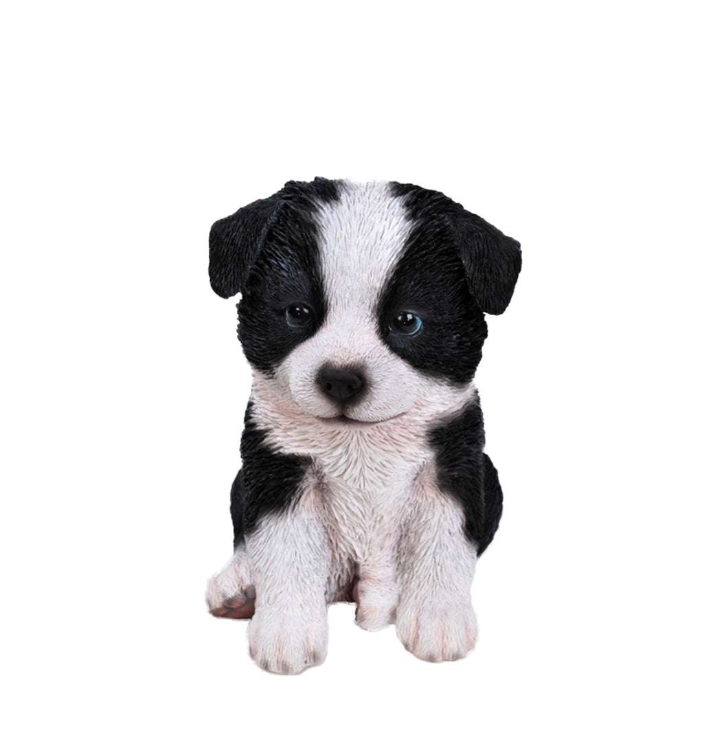 PET PALS - BORDER COLLIE PUPPY