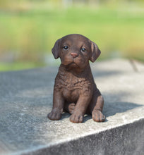 Load image into Gallery viewer, 87771-S - PET PALS - LABRADOR PUPPY - CHOCOLATE
